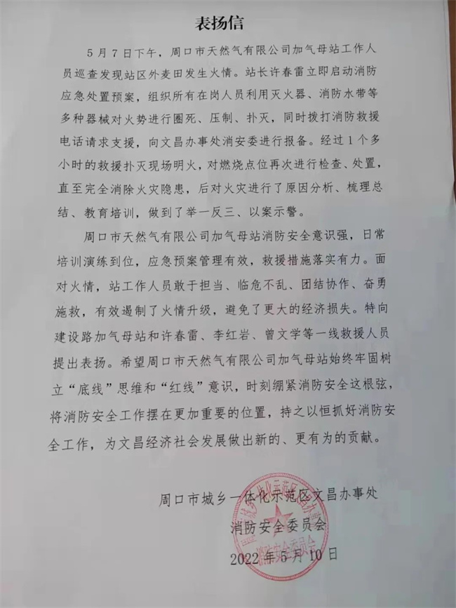 澳门免费原料网