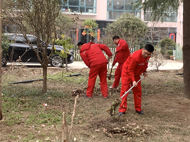 澳门免费原料网