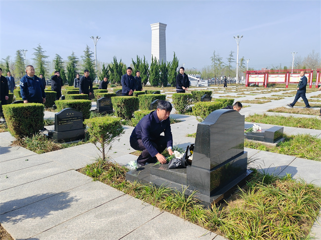 澳门免费原料网